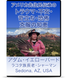 adam-dvd